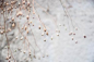 Preview: Hüsler Nest Zudecke Baumwolle-Leinen Satin light